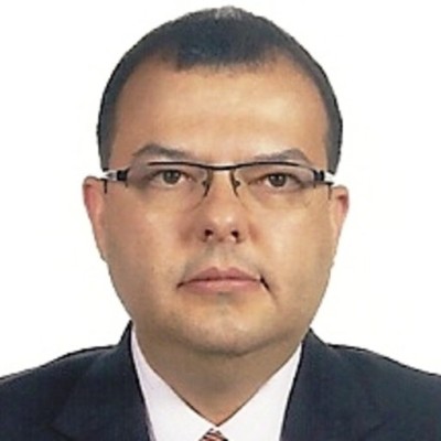 Gatti Junior, Décio